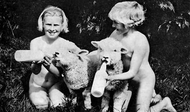 Girls feeding 2 lambs