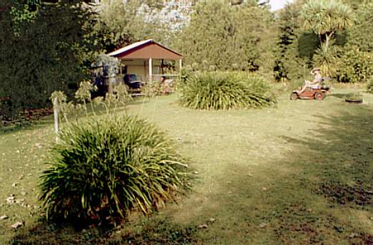 Elie Bay's backyard