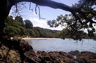 Tawhitokino Beach