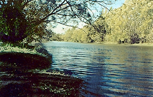 Hawea River